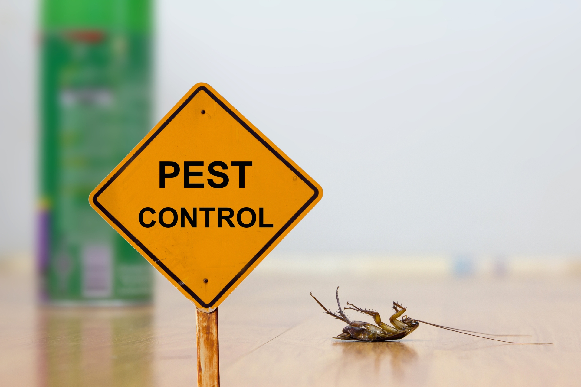 24 Hour Pest Control, Pest Control in Watford, Cassiobury, WD17. Call Now 020 8166 9746