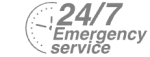 24/7 Emergency Service Pest Control in Watford, Cassiobury, WD17. Call Now! 020 8166 9746